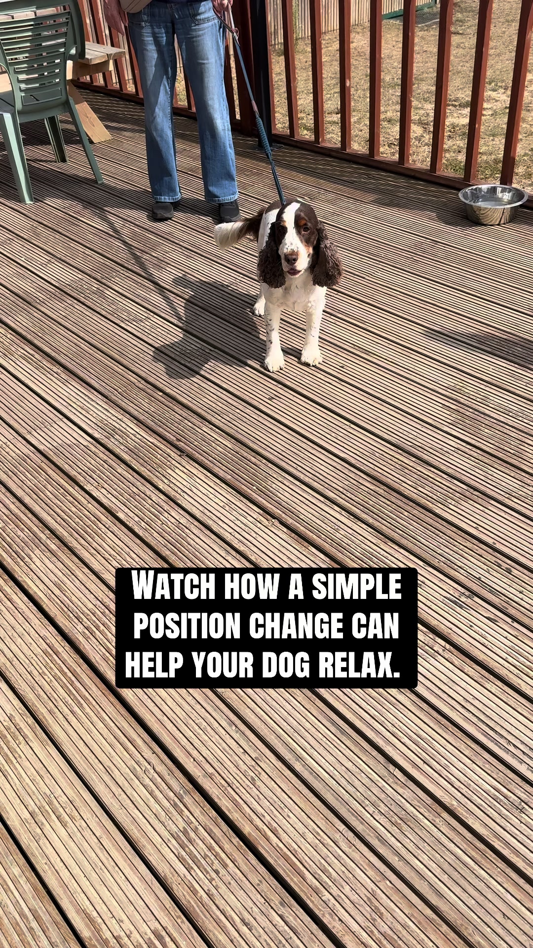 @SouthendDogTraining