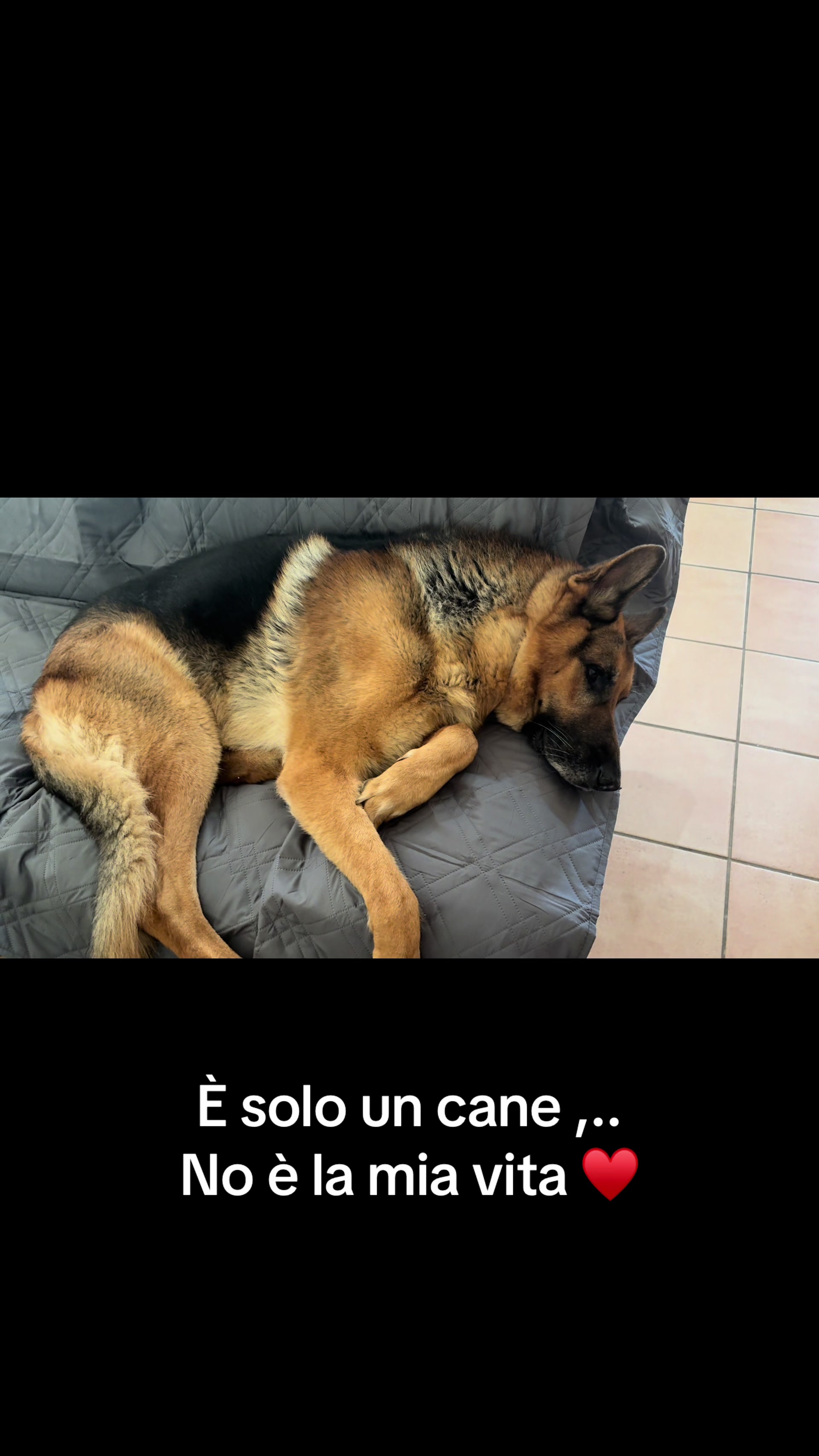 @ilaria71121