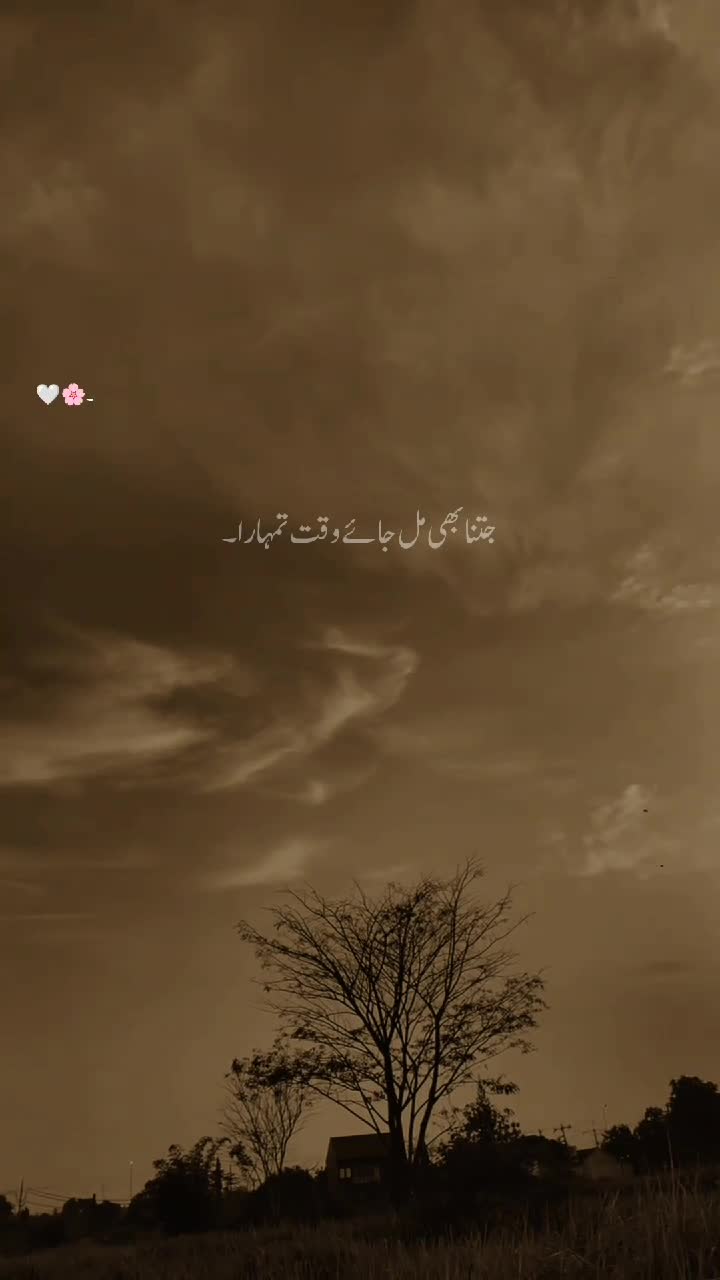 @Aaشhir 🕊️