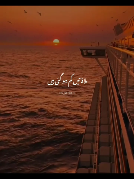 @Its_Meerjat