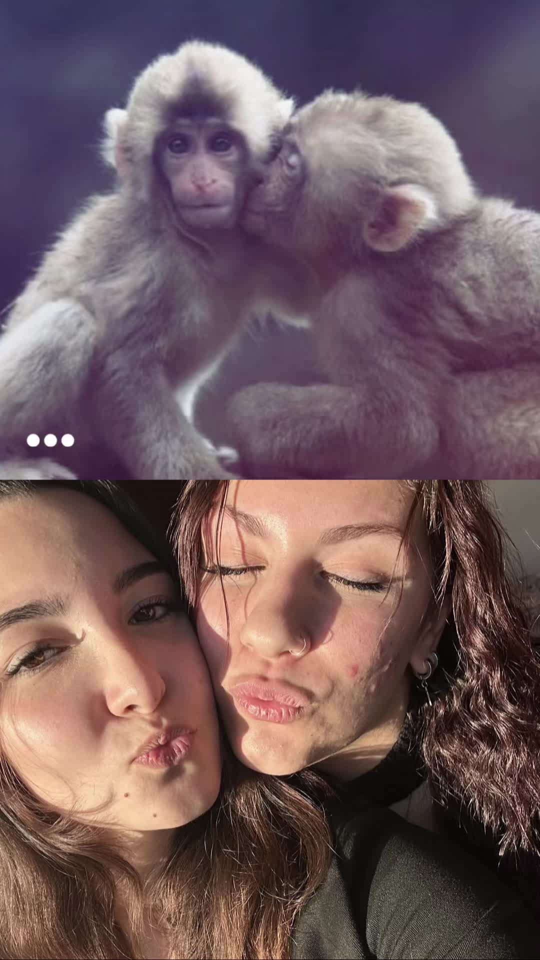 @arianna