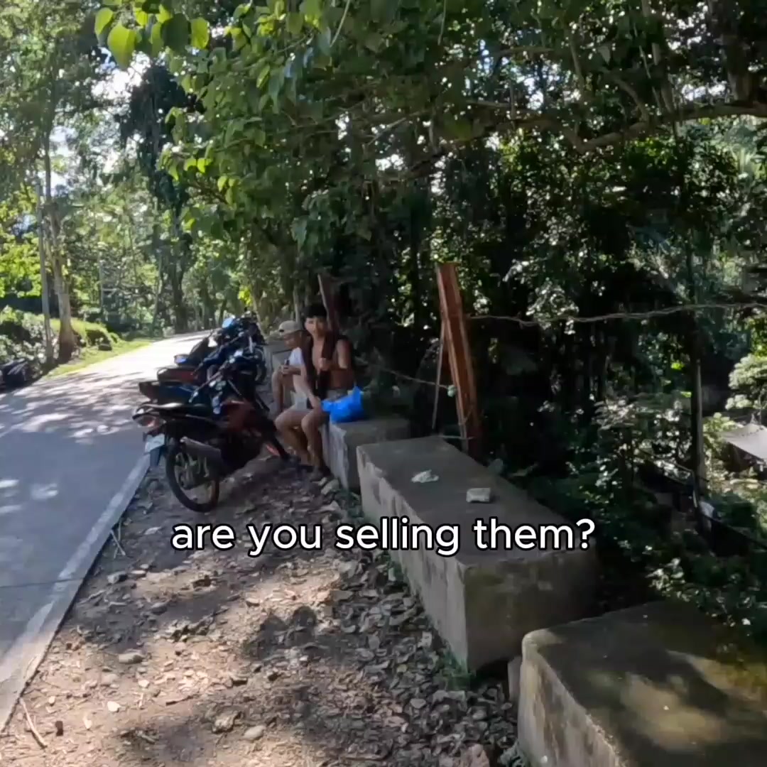 @zenny