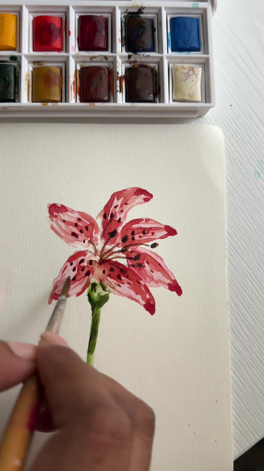 @raisa.artwork