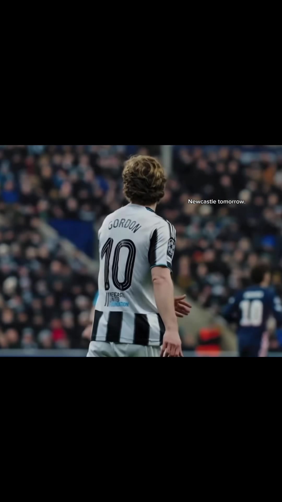 @thfc.teddy