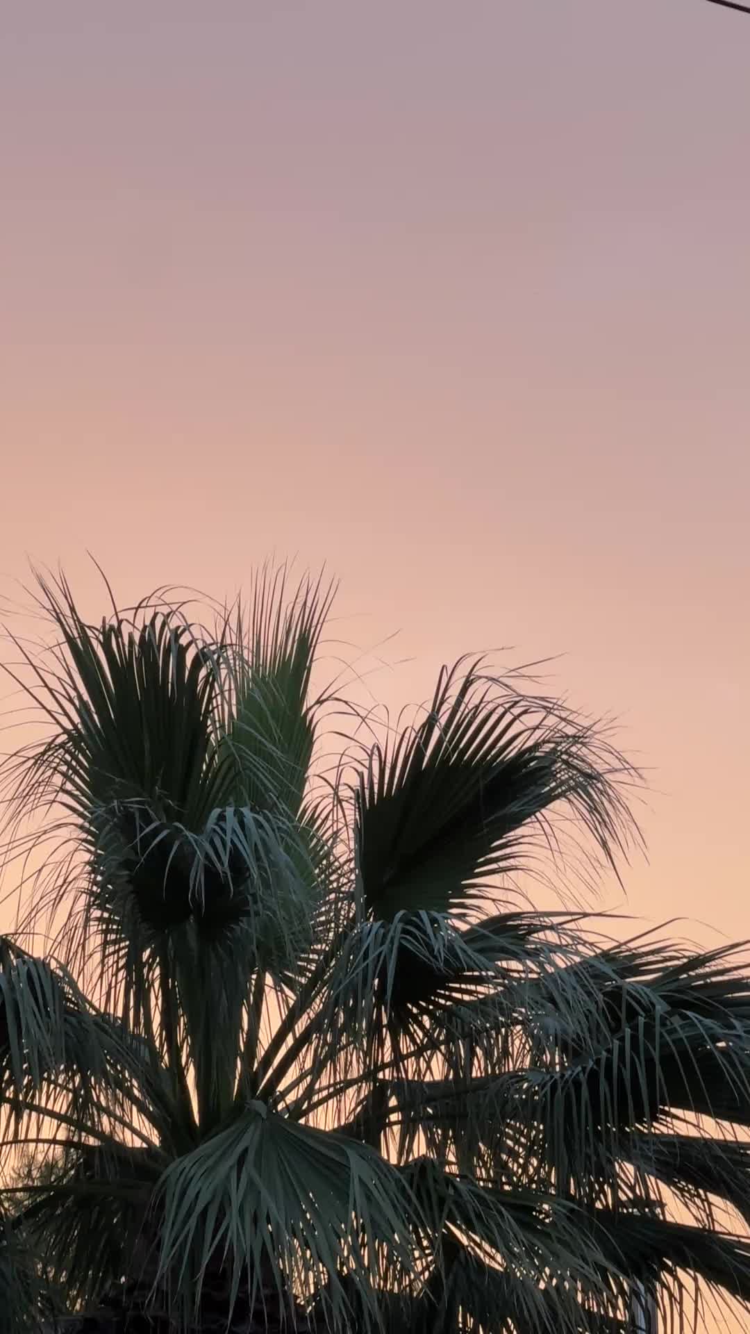 @elizabethmataraga