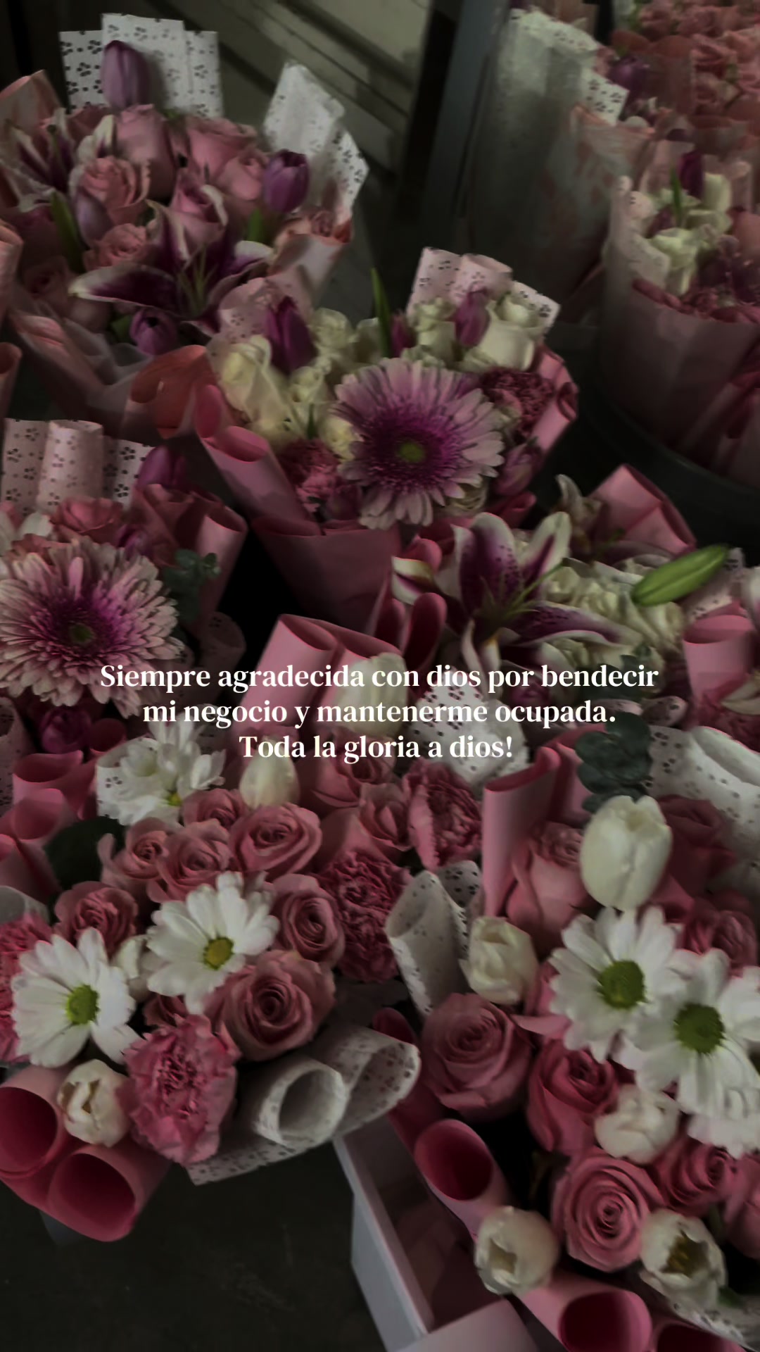 @Bellas Flores ୨ৎ