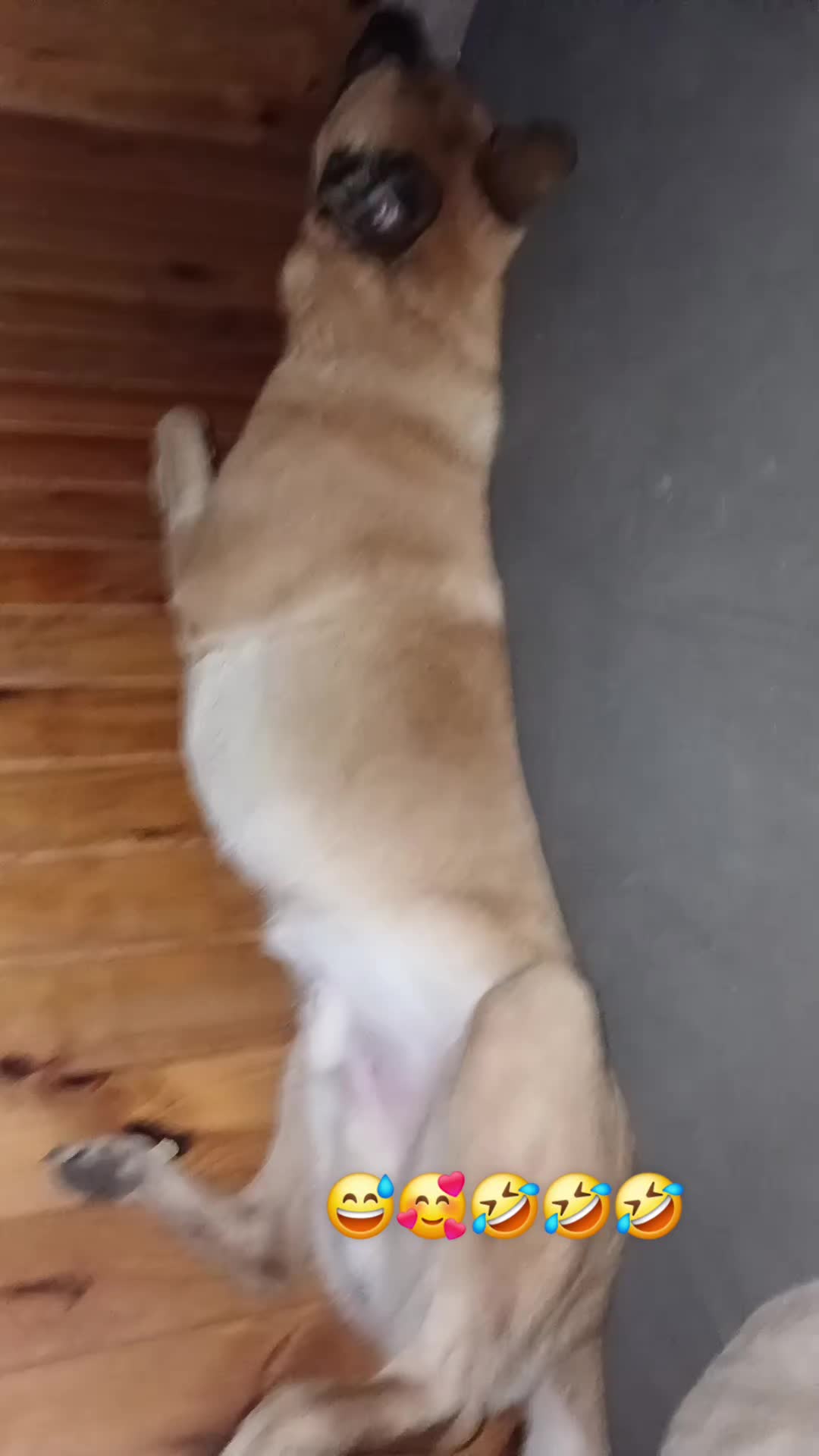 @Chrisdog