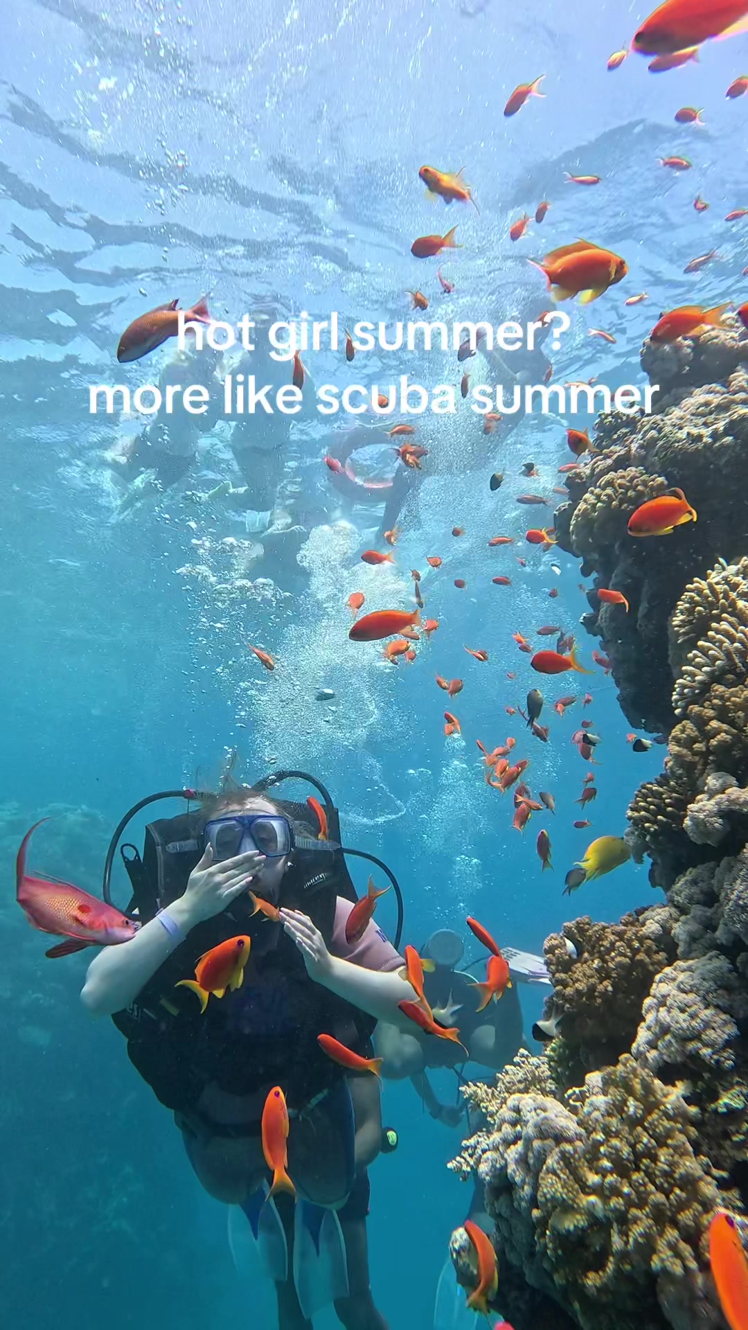 @❀𝓵𝓲𝓿❀