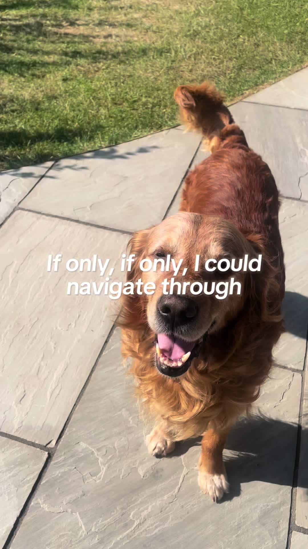 @Happy buddy