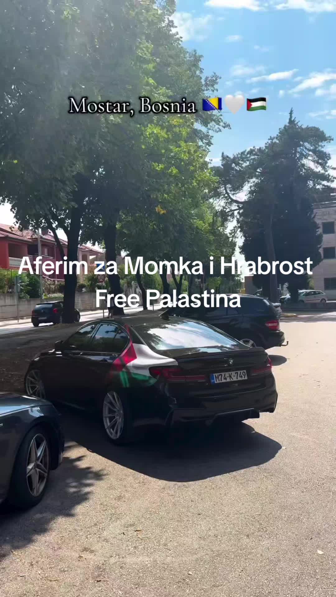 @🇧🇦Zikuna Ribo🇸🇮
