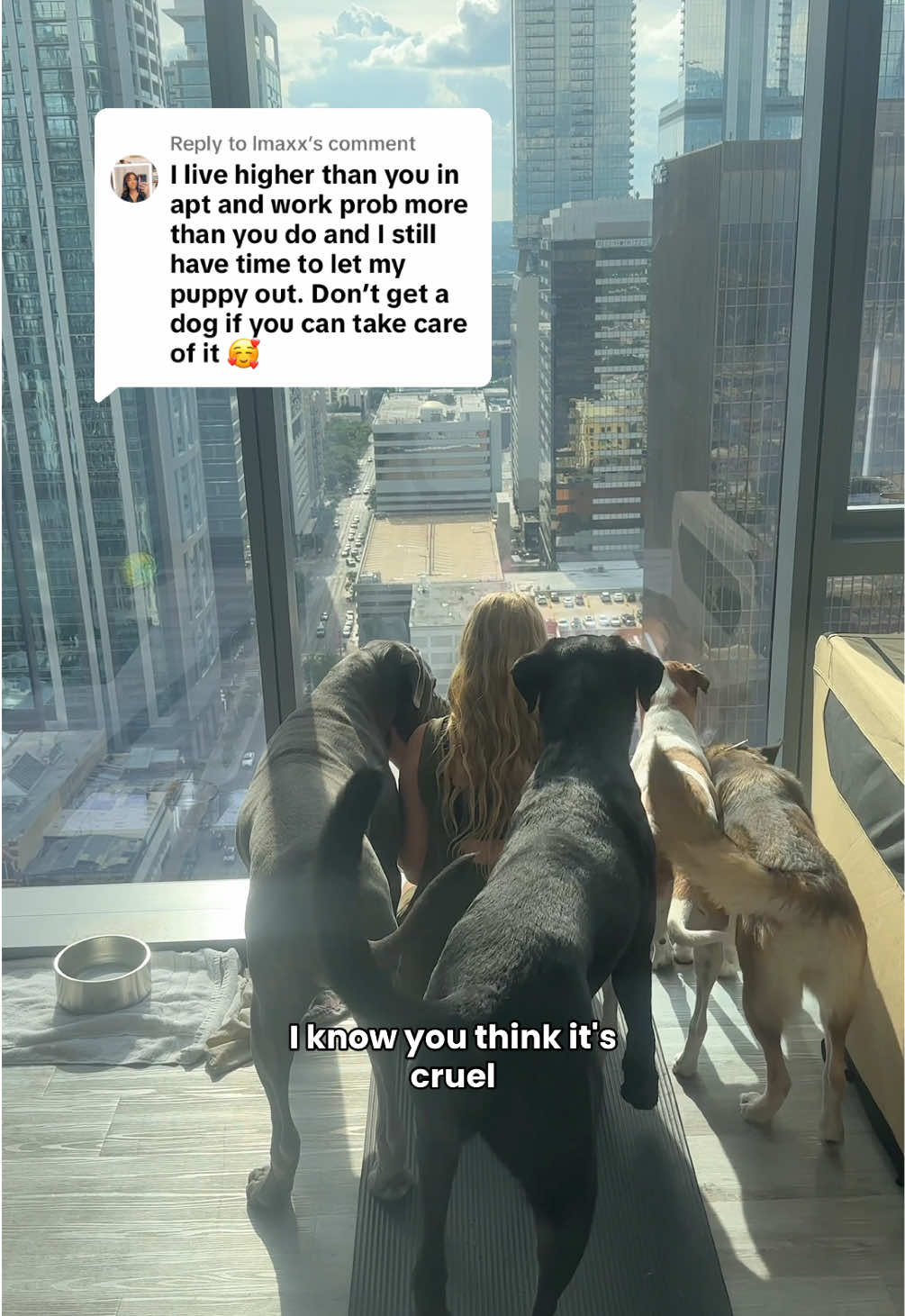 @Taylor + 4 dogs ๐ฉ๐ผ๐ถ๐ถ๐ถ๐ถ