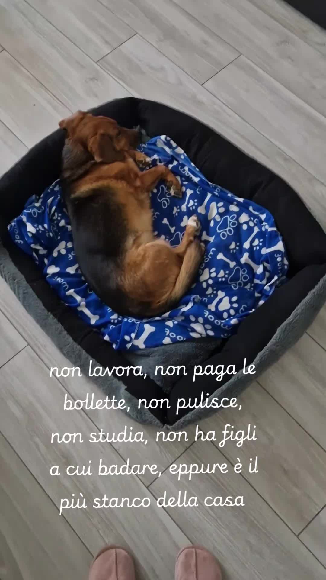 @Rosa Muraca