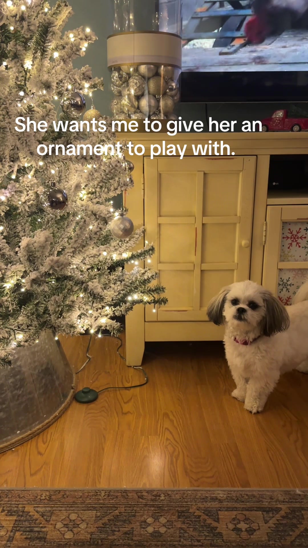 @Tina Borror