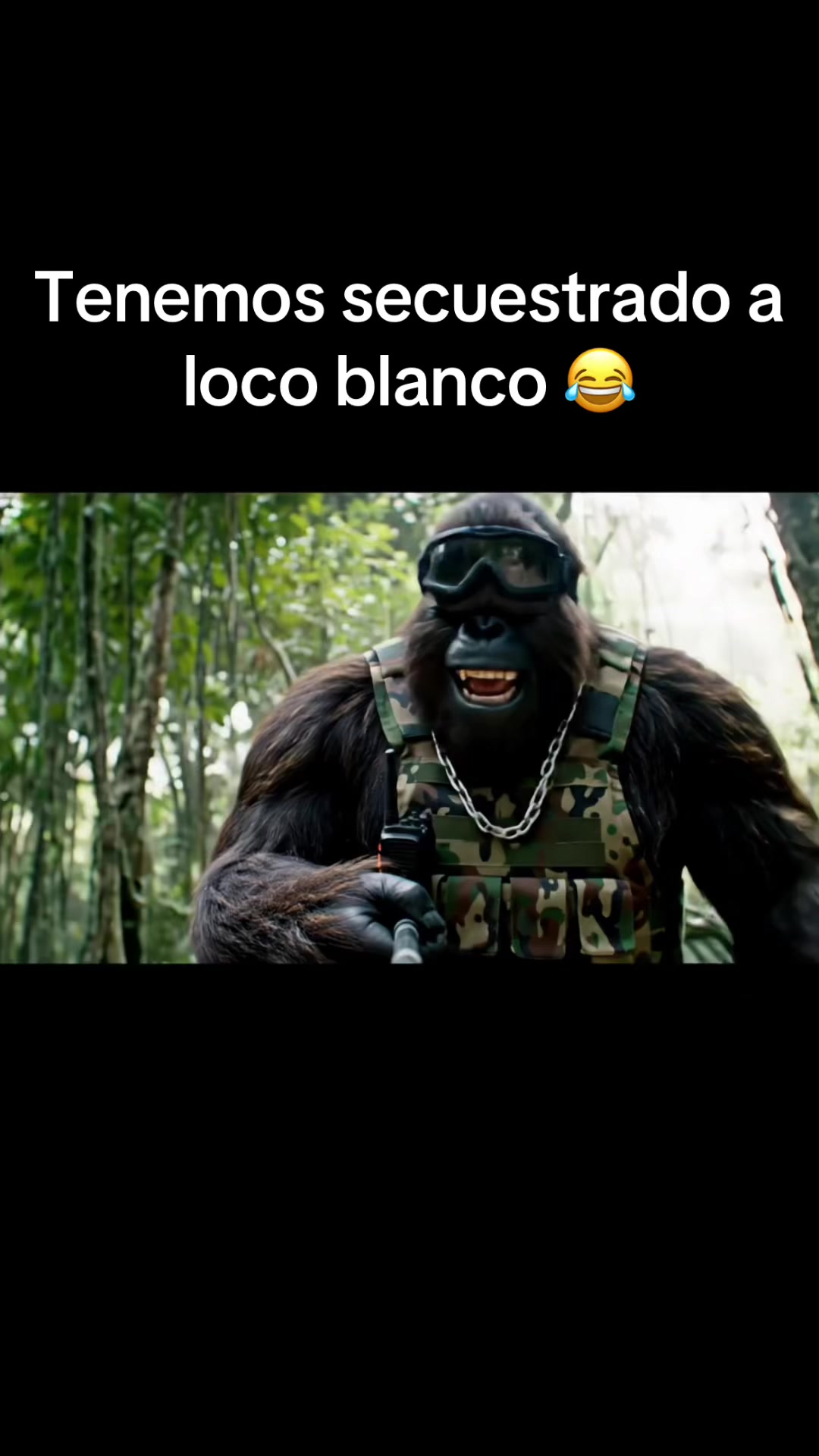 @El rulas