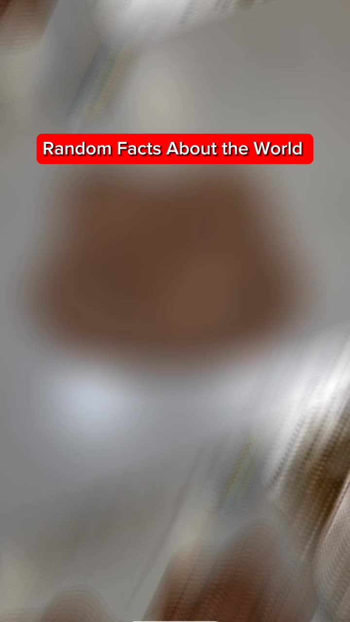 @User736_63
