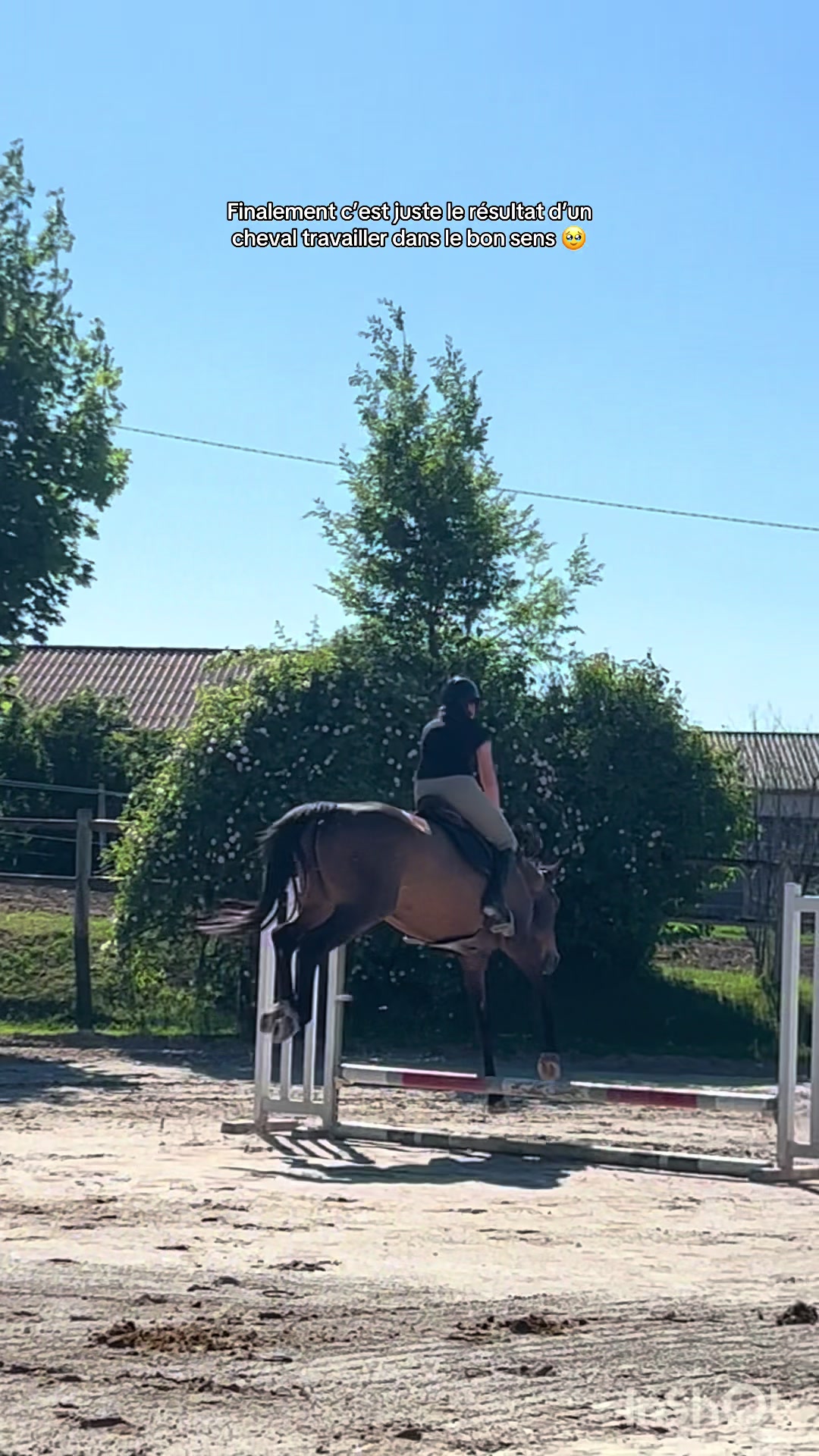 @Lascar super star 🚀