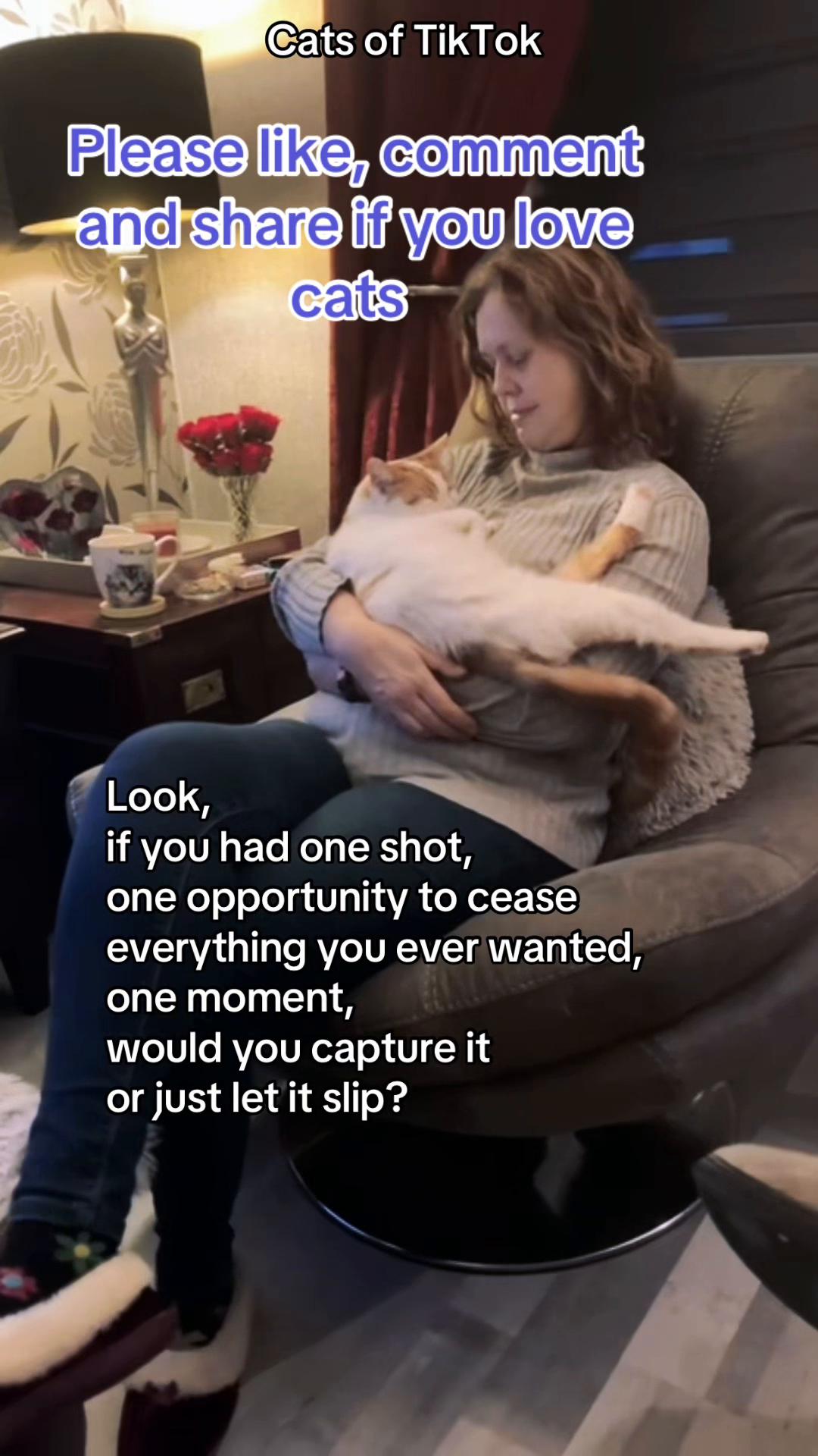 @Crazy cat lady x 4
