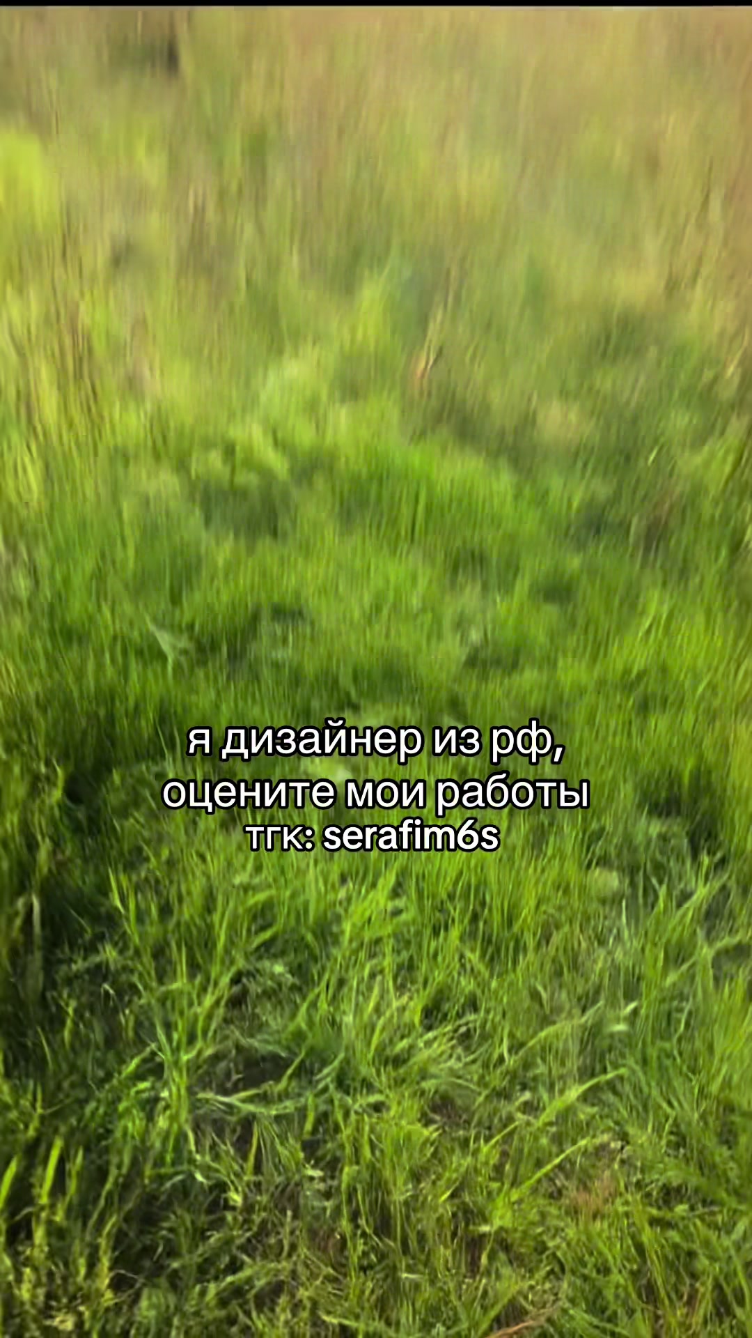@тгк: serafim6s