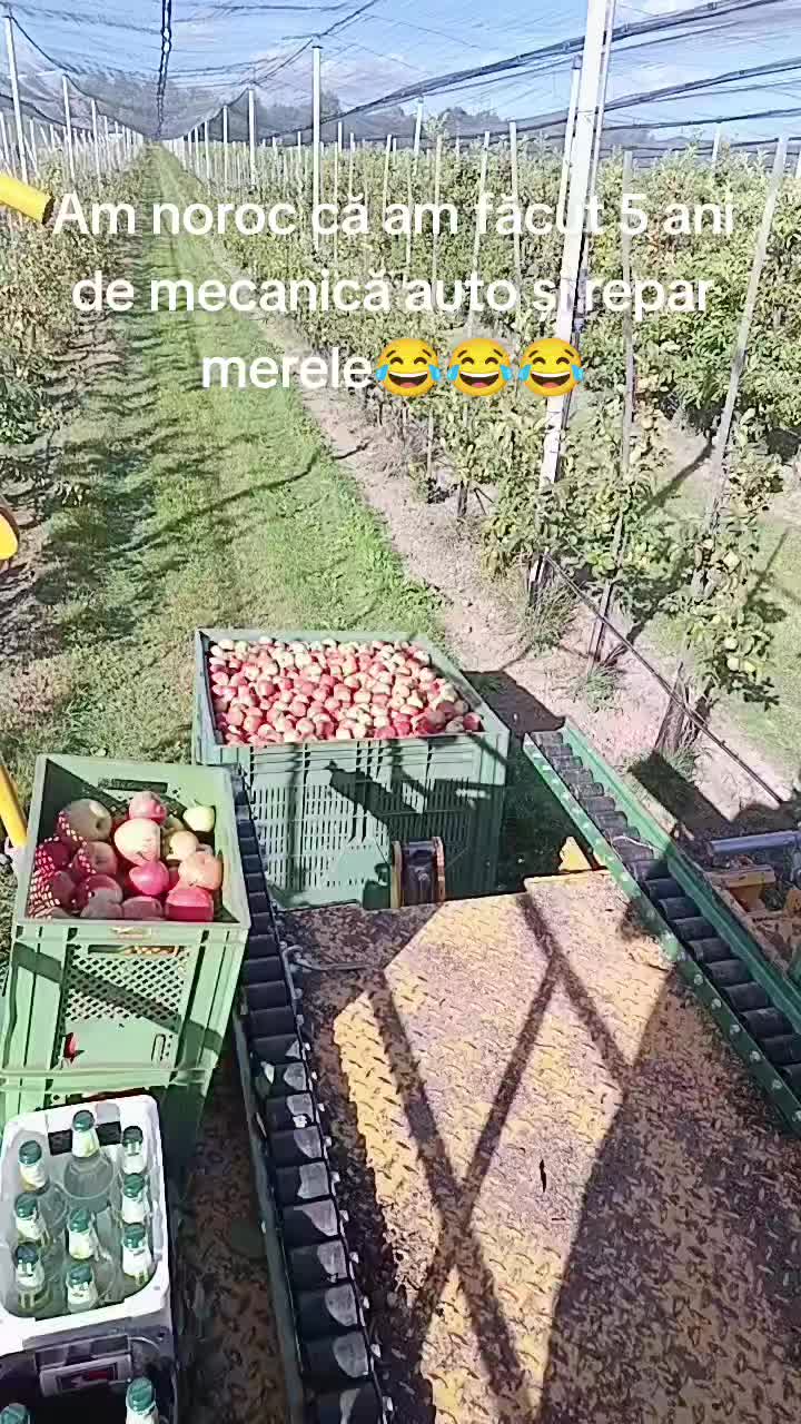 @Ciotârcă Ovidiu!