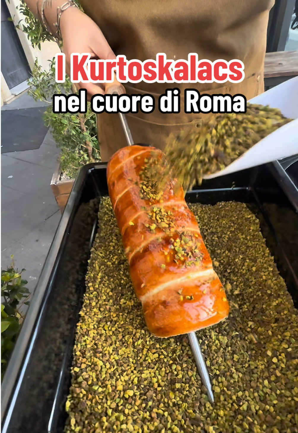 @Roma Dinner