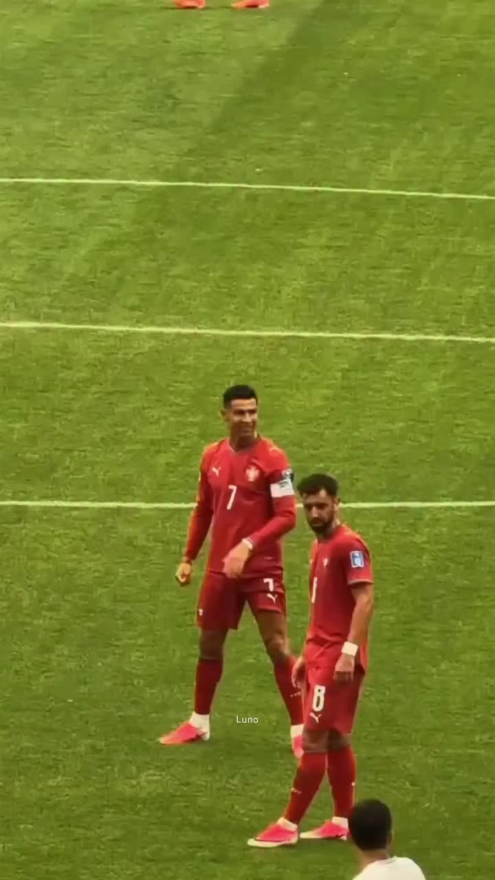 @laninobravd🫀🇵🇹