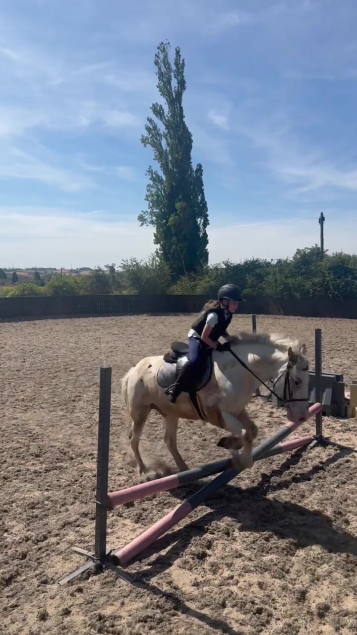 @LottiesHorseAdventures🦄🐴