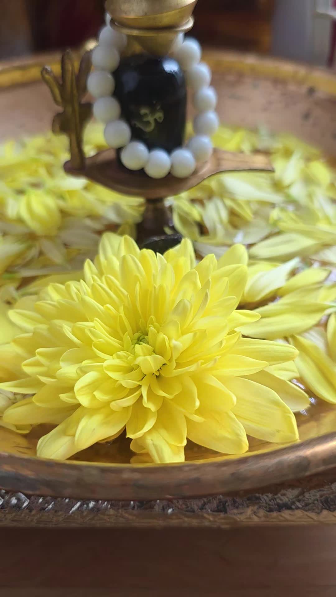 @Bholenath ki beti😊❤️😊