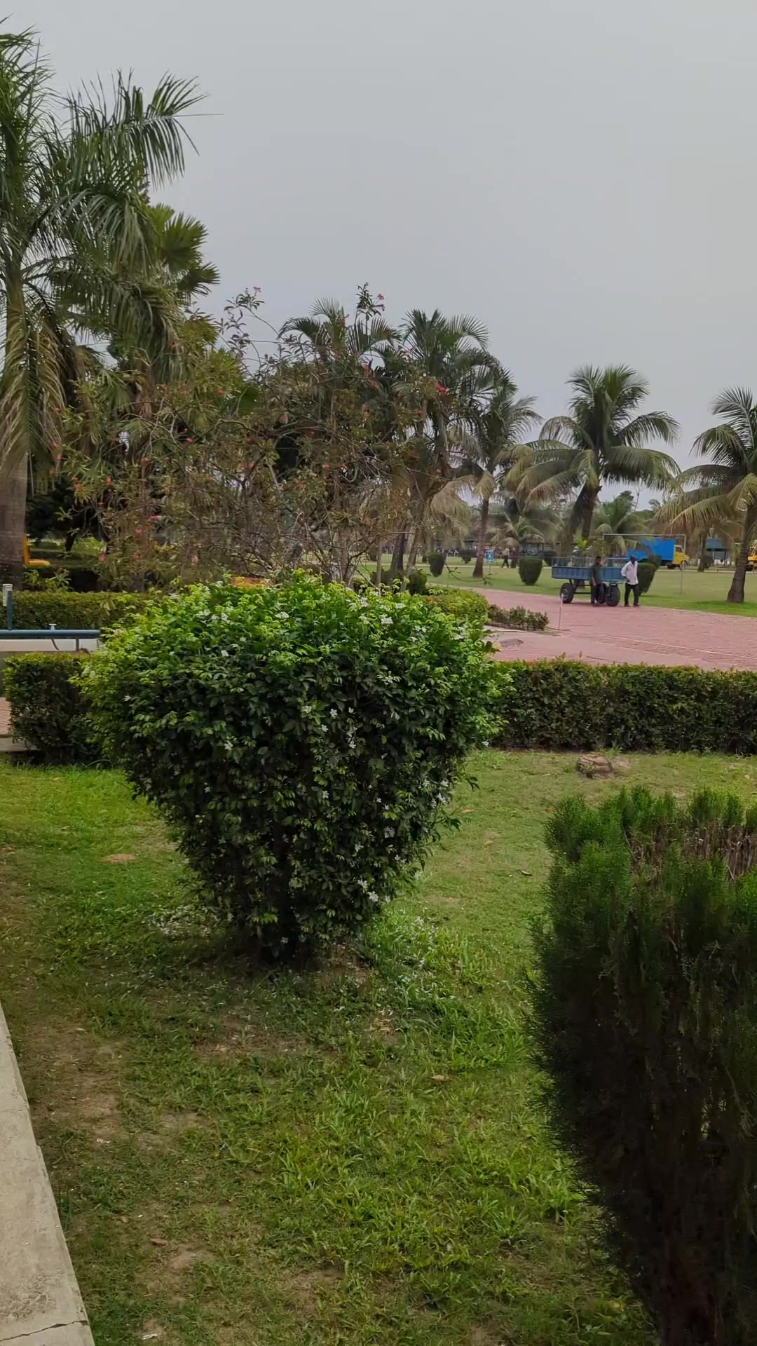 @কালো ছেলে ꧁ SM꧂⛎