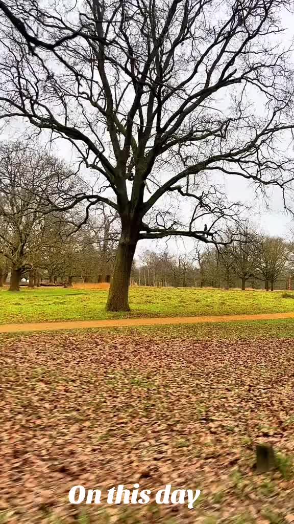 @Lost In London