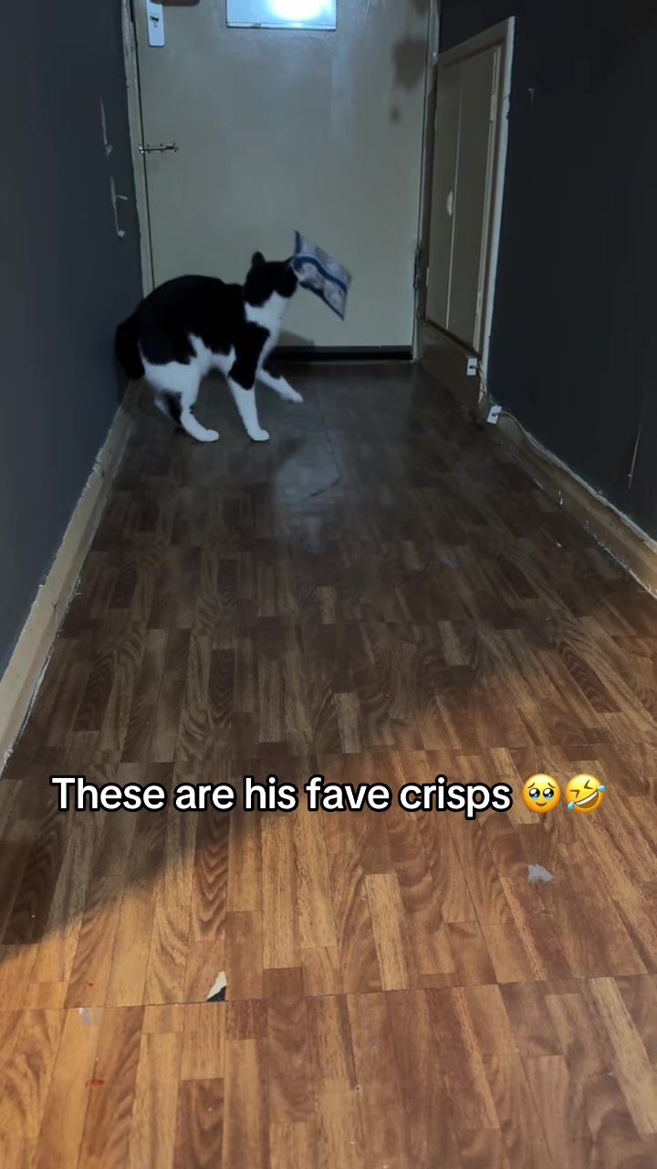 @Paigeyy
