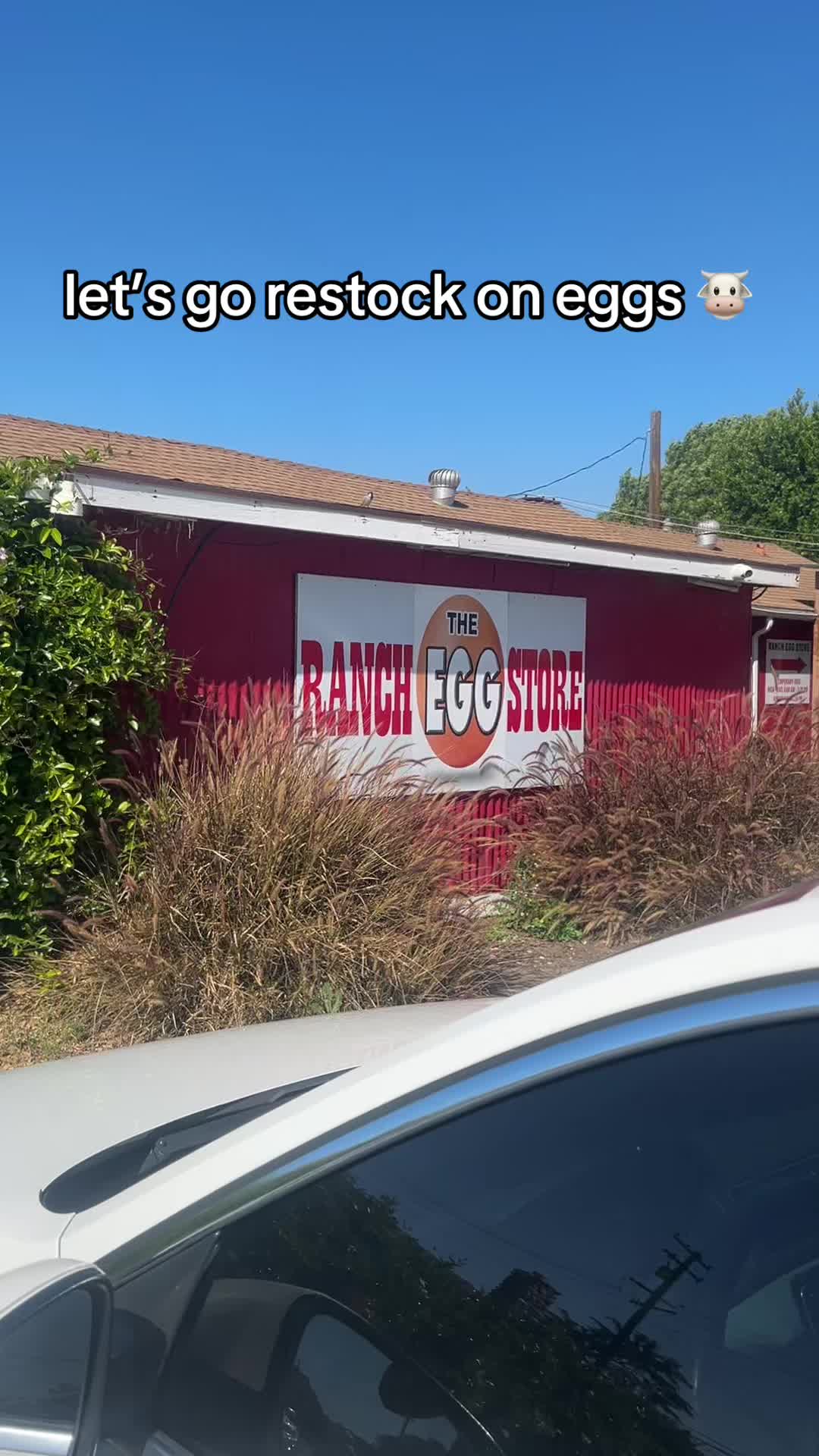 @Chinosfarmfreshdairy