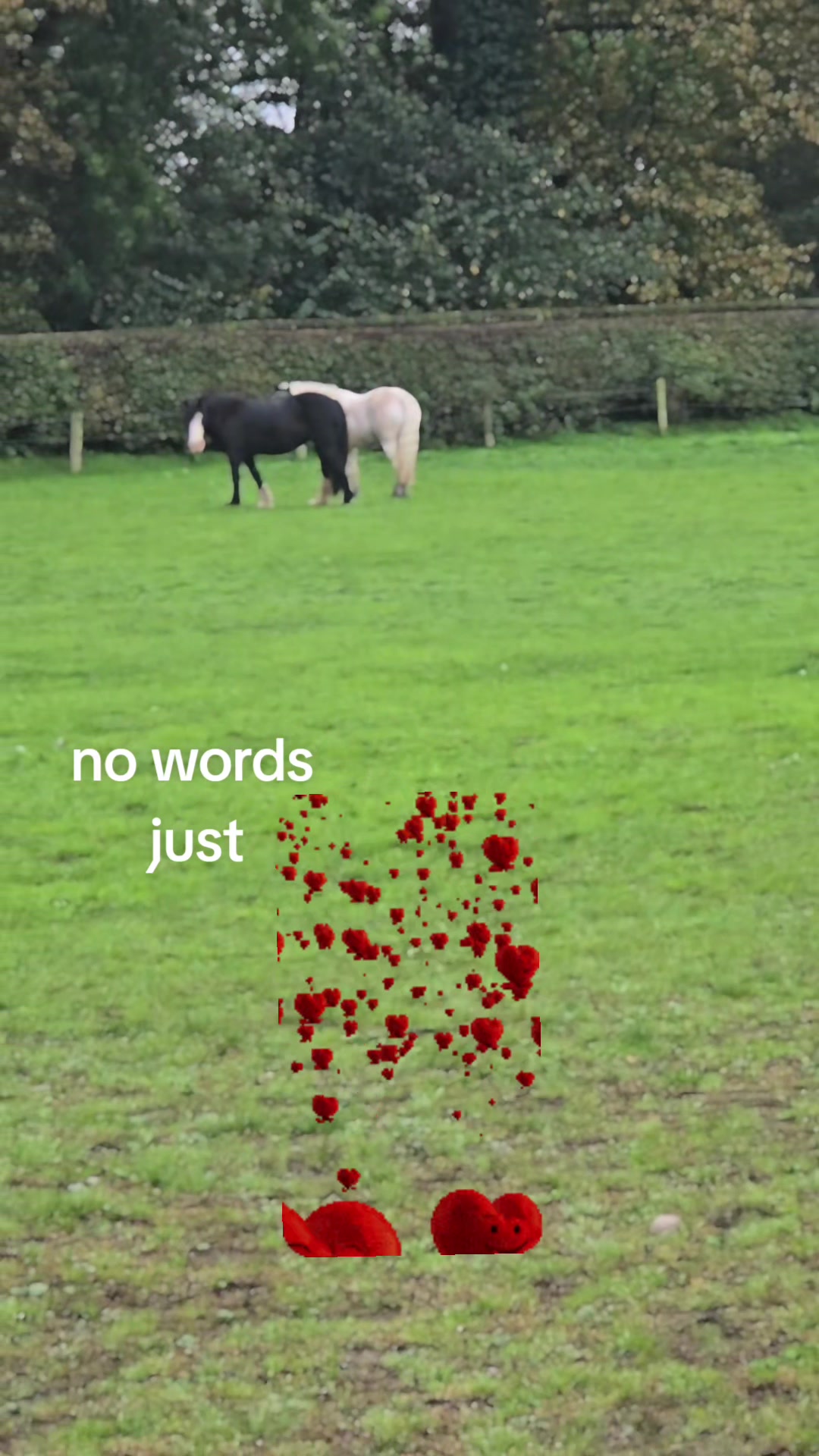 @ponymidlifecrisis