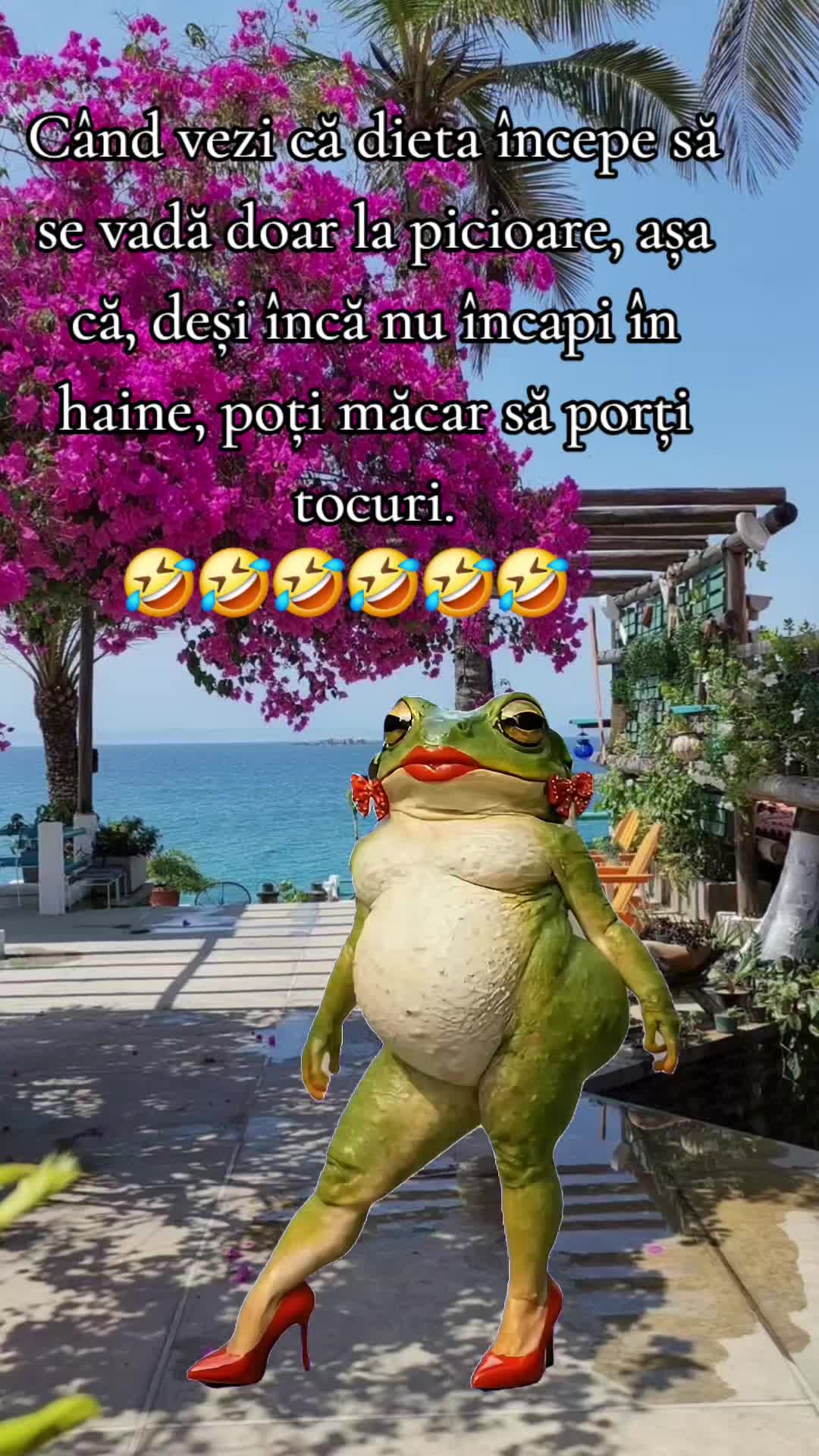 @ank_andreescu867