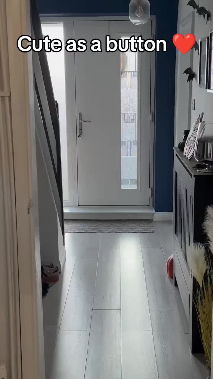 @Itsmedeedee