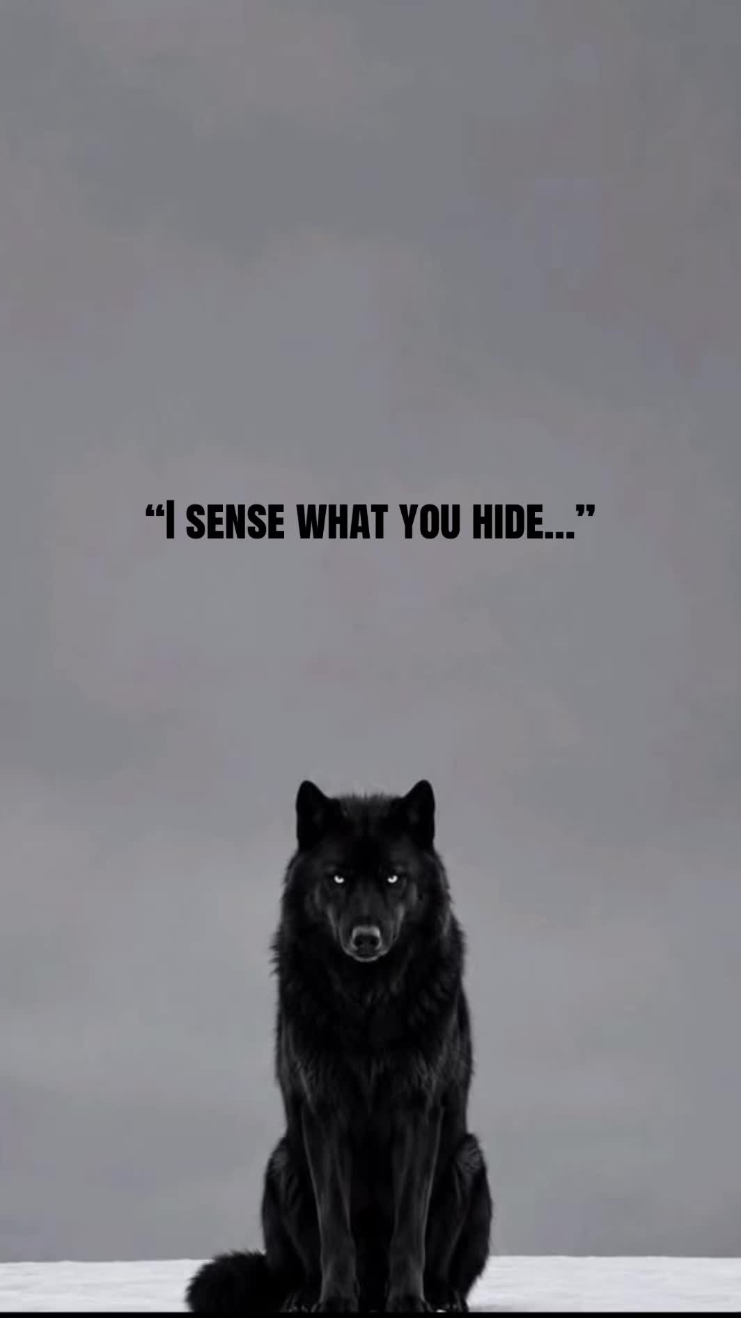 @🪬Conscious_LoneWolf🐺