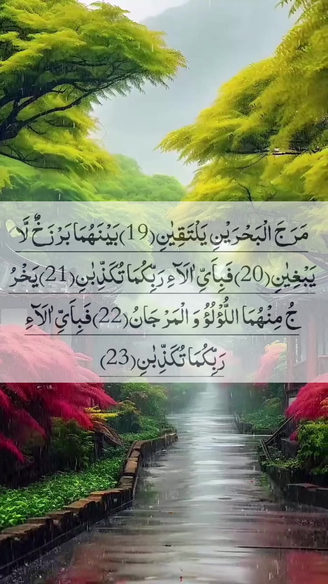 @❣️ Words of Allah ❣️