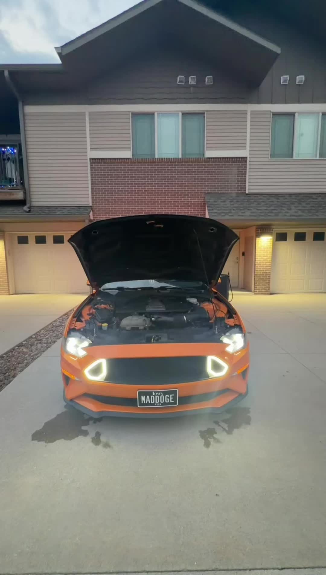 @LaVidaDeBori787PR🇵🇷🐺