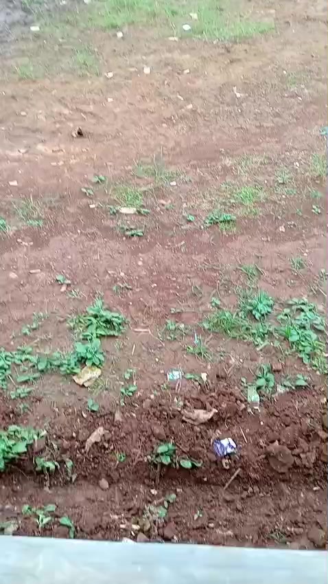 @𝐑𝐁𝐒𝐒 𝐂𝐎𝐌𝐔𝐍𝐈𝐓𝐘🍁