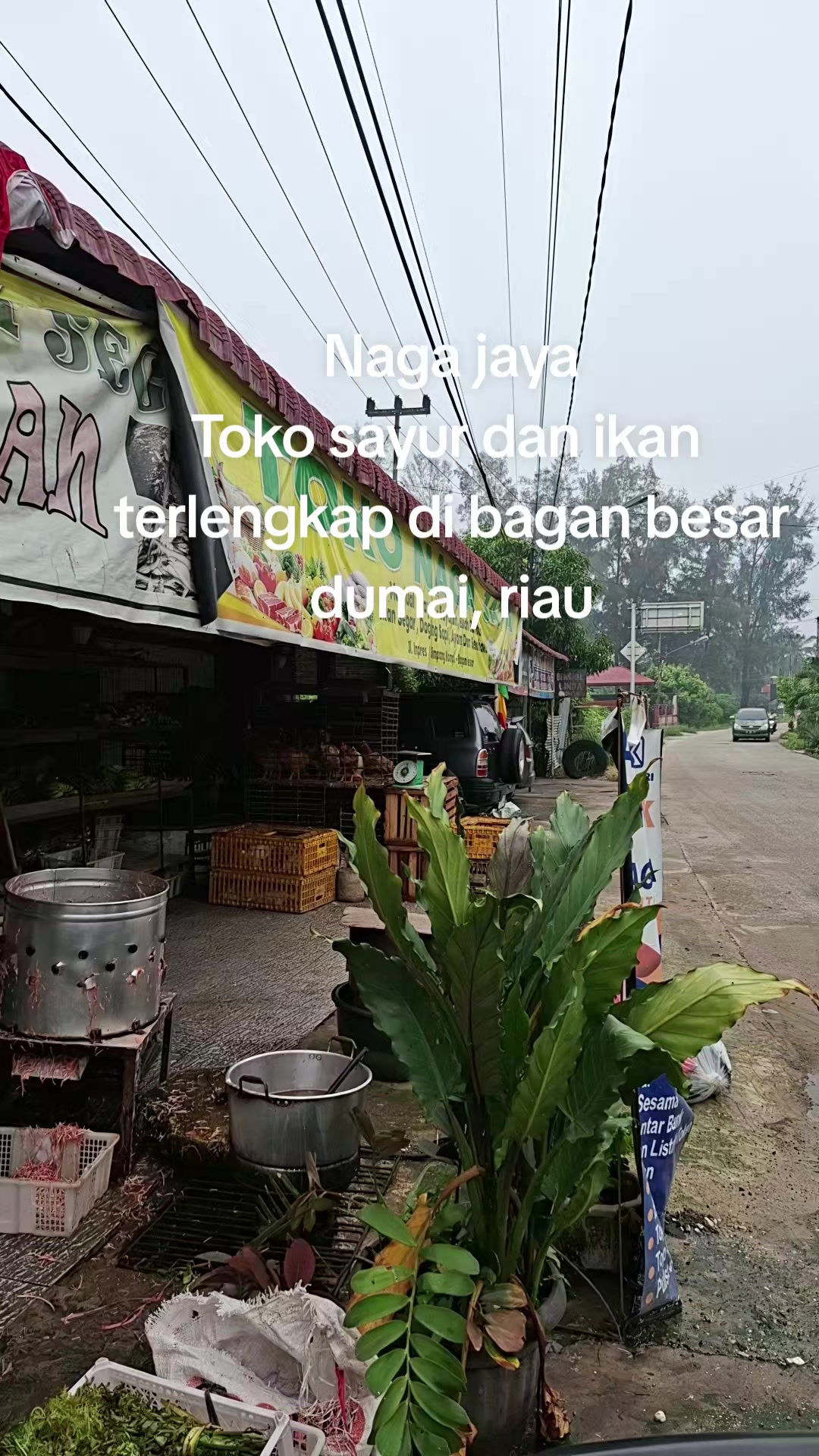 @Naga jaya