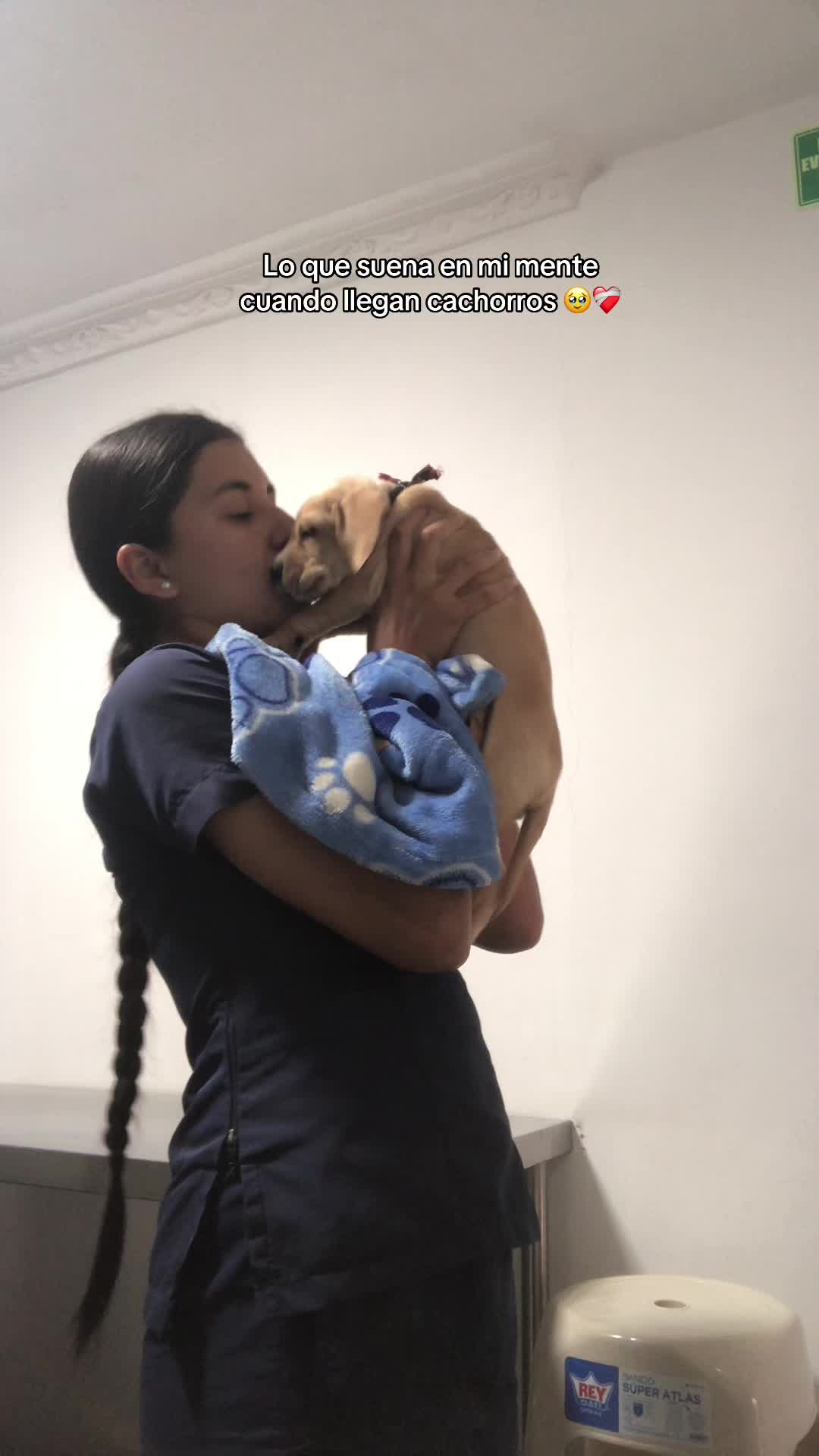 @Laura Hernandez |Vet