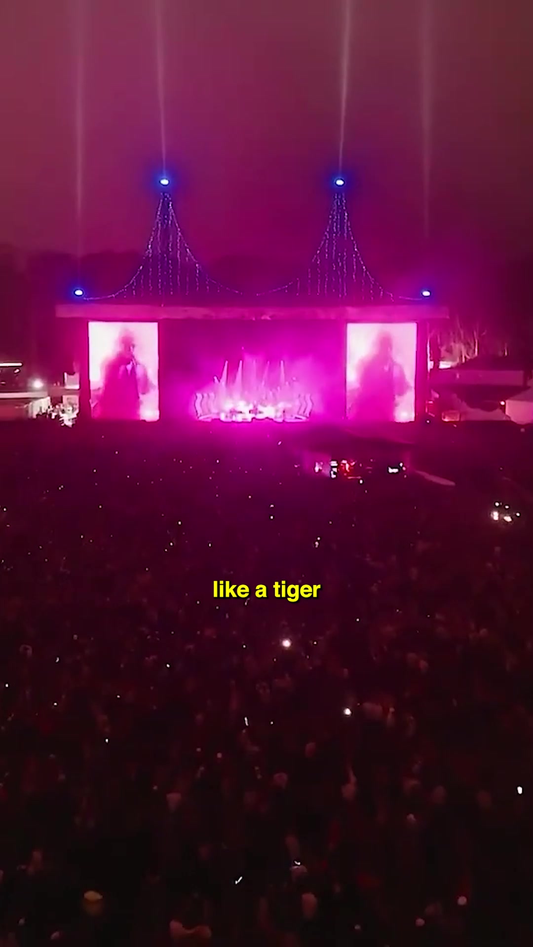 @The Strokes Fan