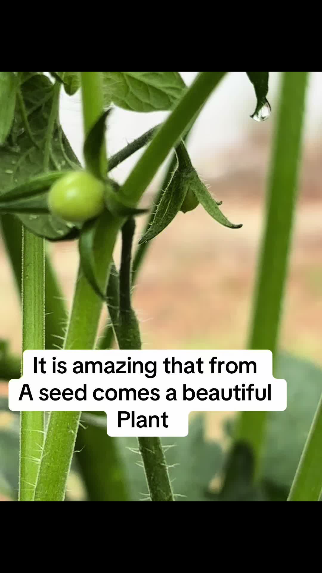 @marla3177