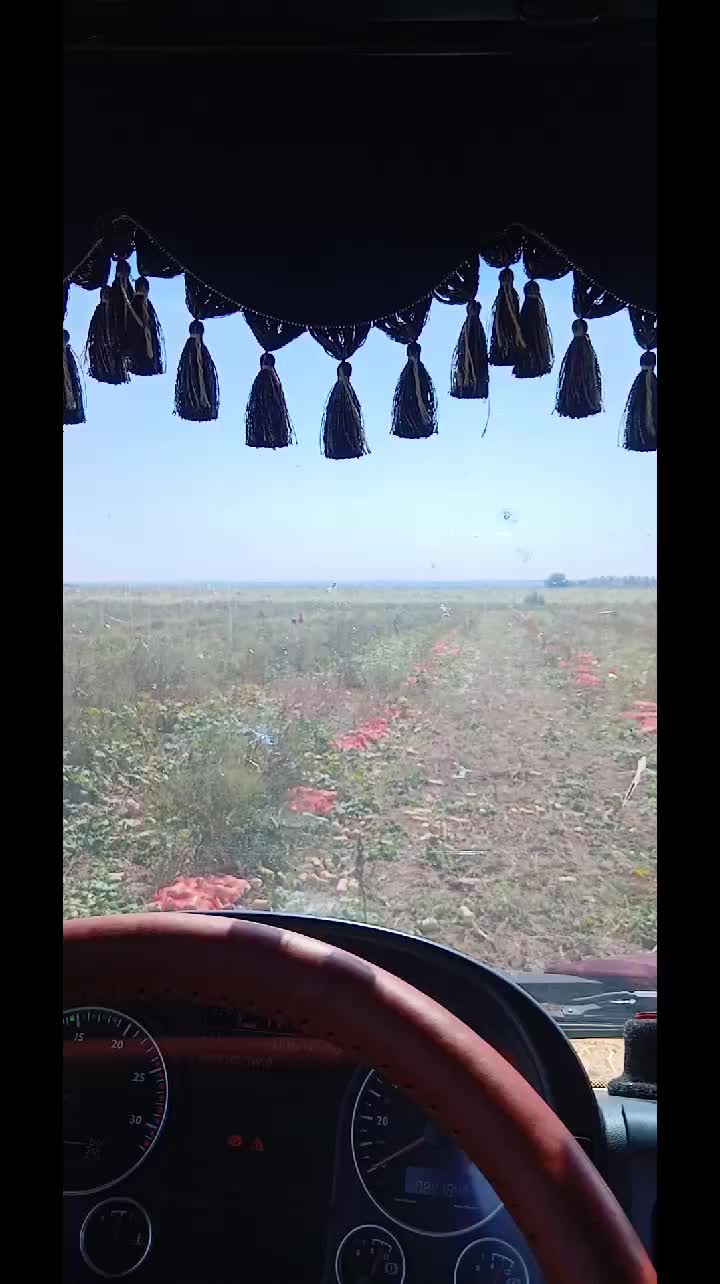 @ДИМОН
