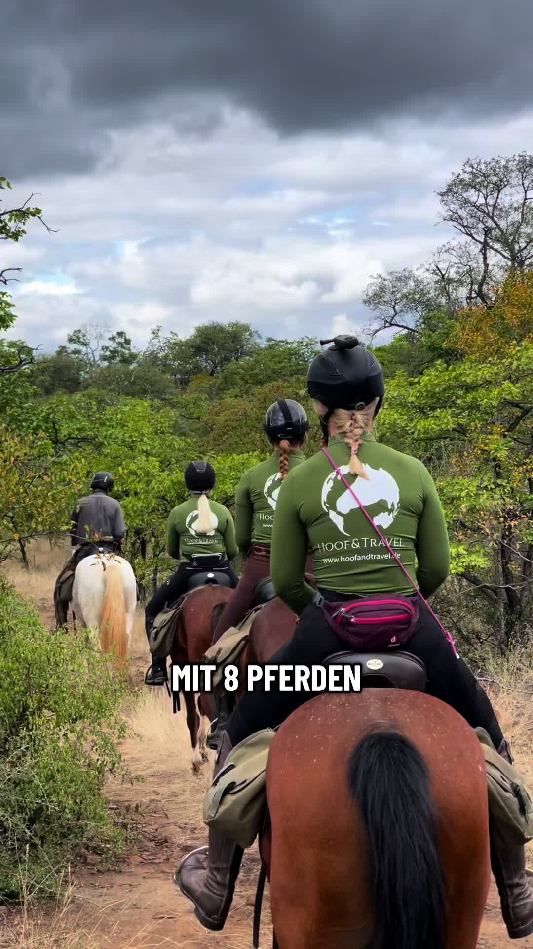 @Hoof & Travel 🐴🌍🐘