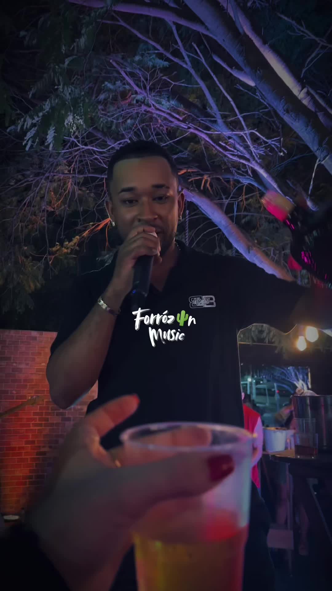 @Forrozin Music