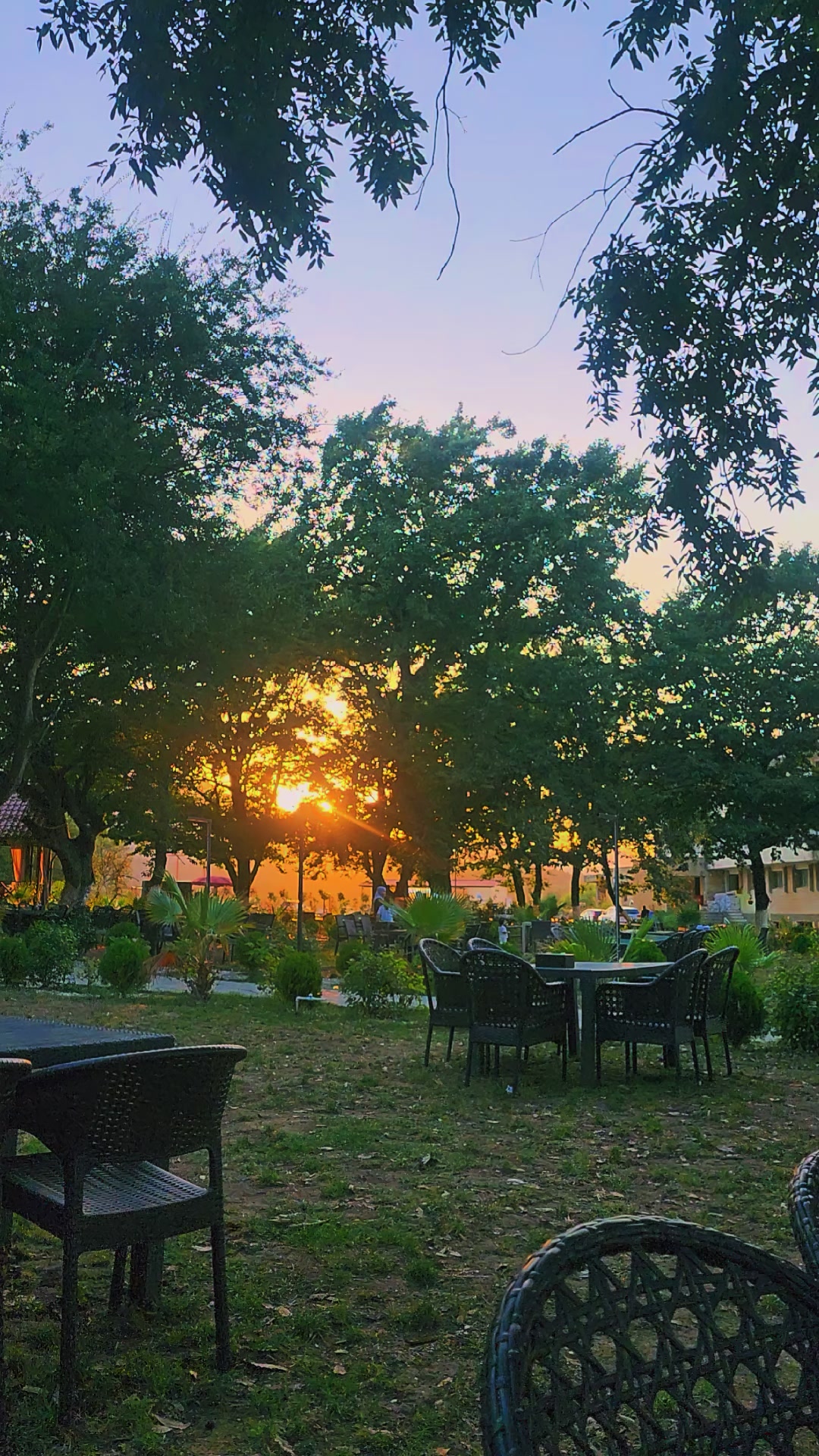 @Амид 44🇦🇿