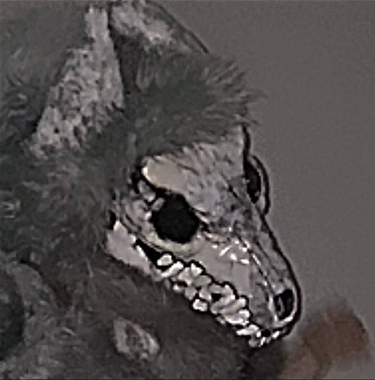@000Ê Ń T Î T Ÿ000