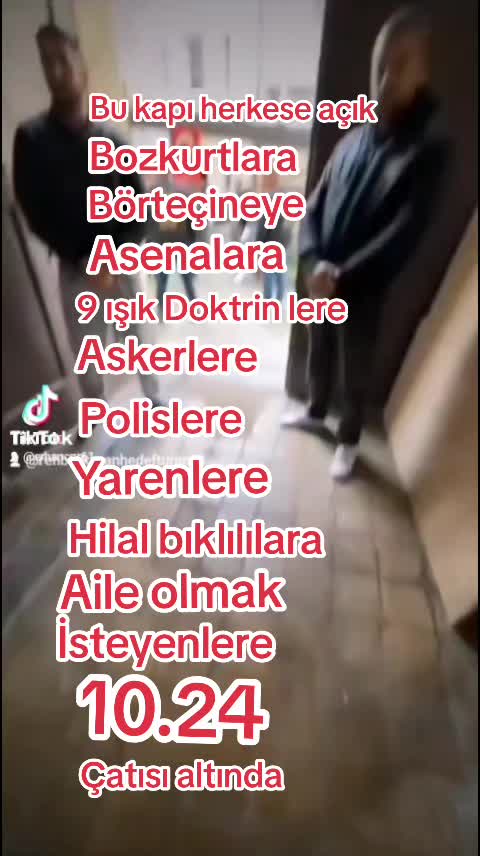 @ADANALICcC CcC 01🐺