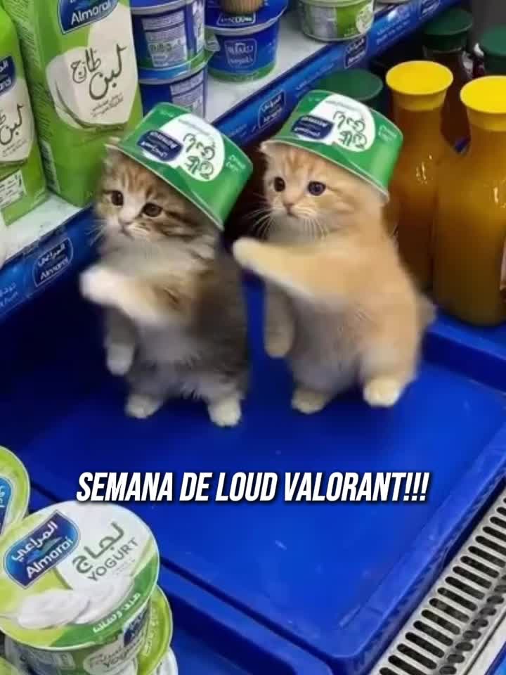 @LOUD VALORANT