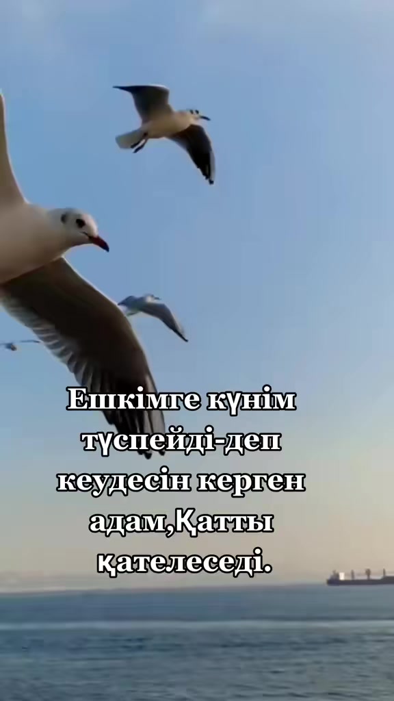 @Р.И.М